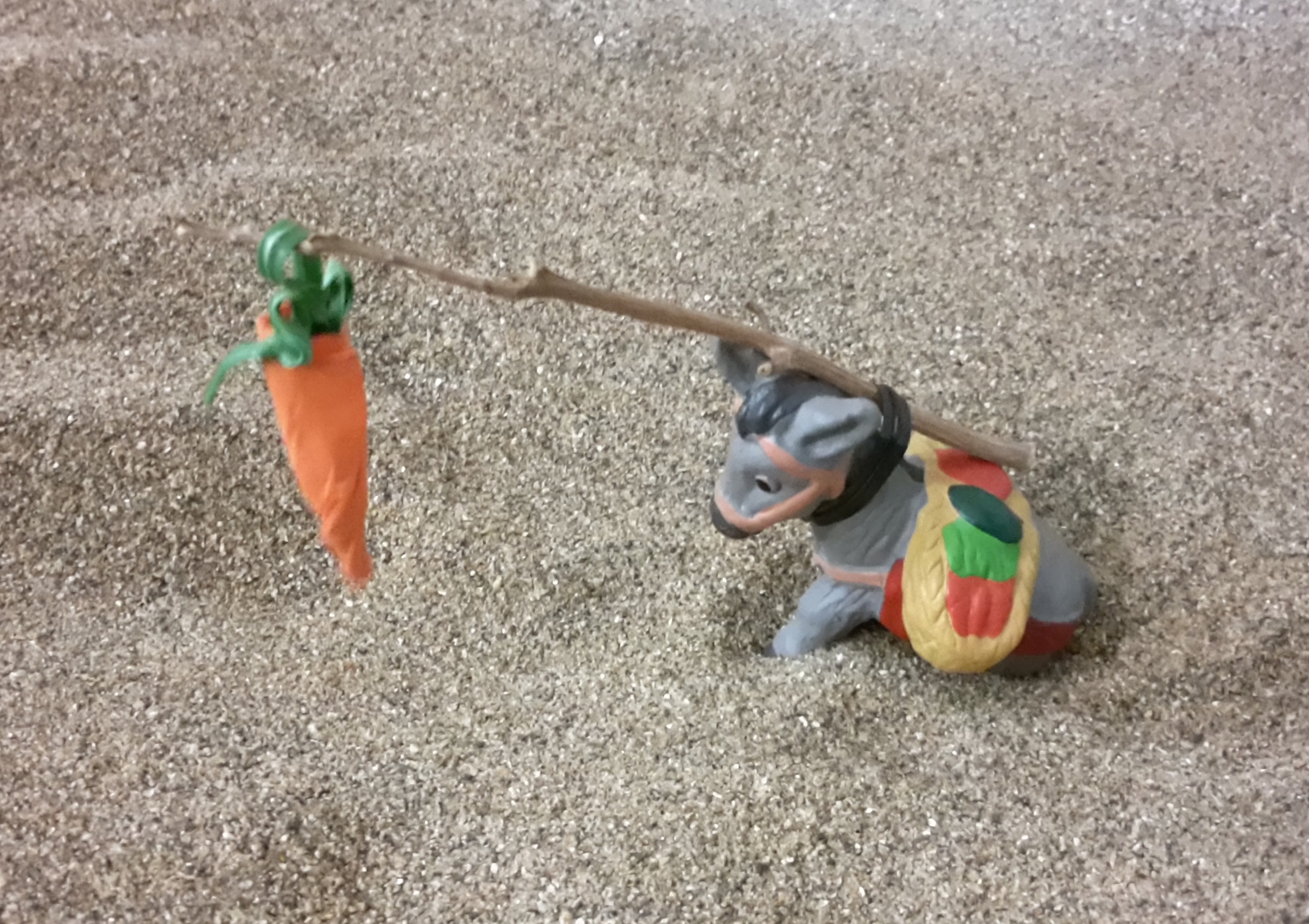 Persiguiendo una zanahoria